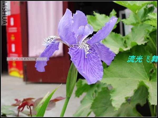 DSC03726.JPG