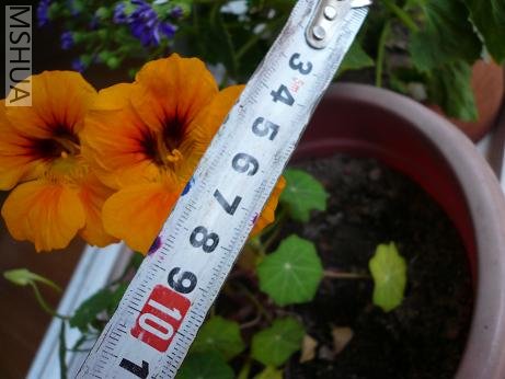 ����ô��