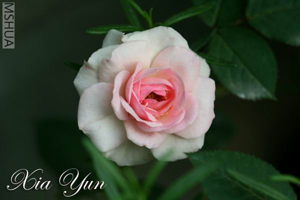 IMG_9583 ����s.jpg