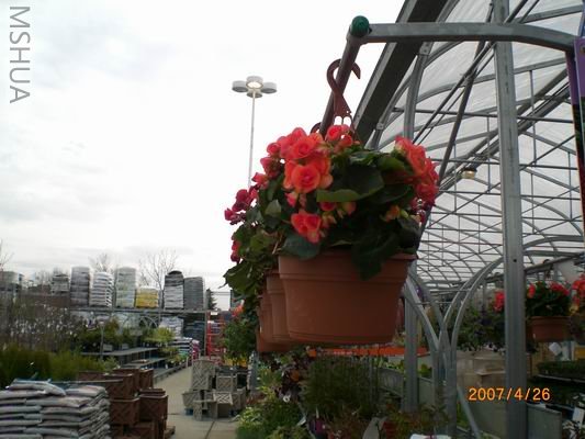 Resize of CIMG0656.JPG