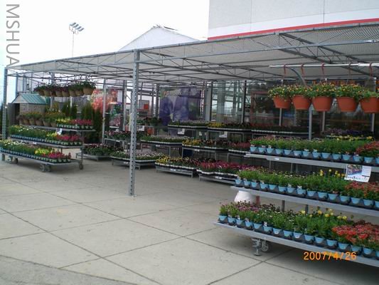 ����һ�Ż�