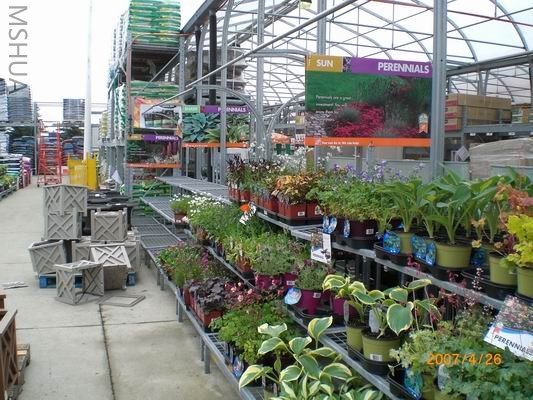 Resize of CIMG0660.JPG