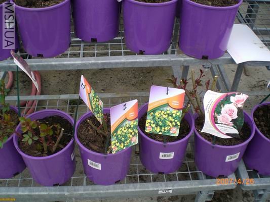 �Լ�����