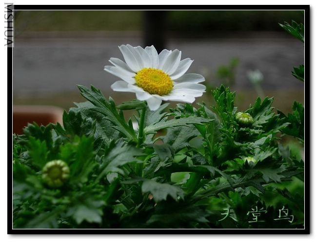 DSCN1888_��С��С.jpg