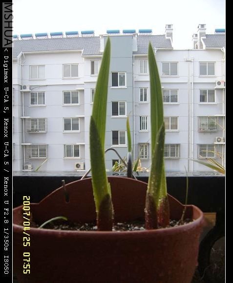 ����֮��