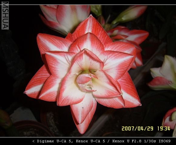 ��׼������