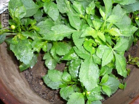 ������������