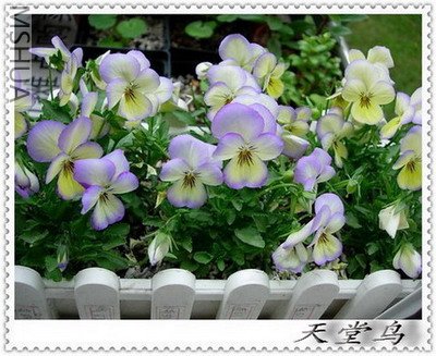 DSCN1965_��С��С1.jpg