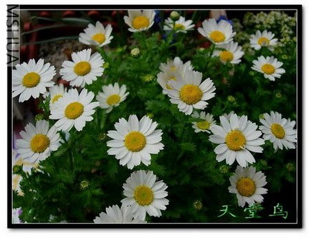 DSCN1913_��С��С1.jpg