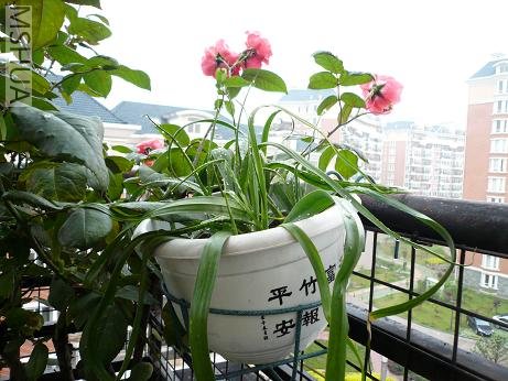 R��HK���ص�С����