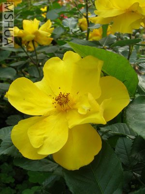 DSCN7037.jpg
