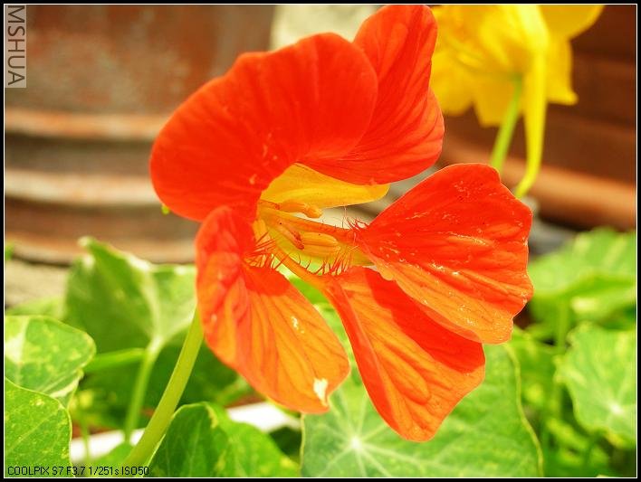 ɹ���չ�ԡ��չ����