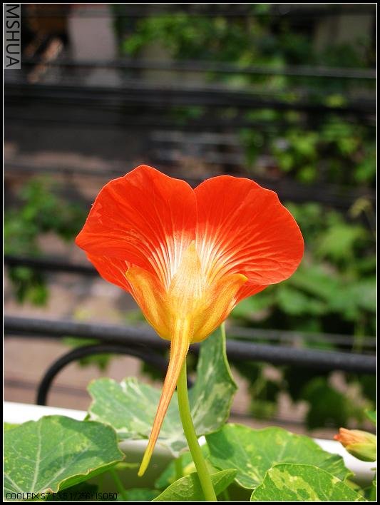 ð��©��������2