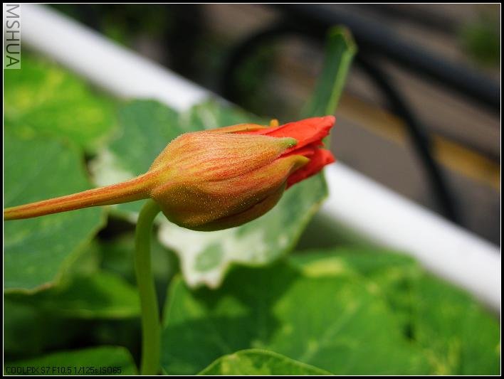 �ڴ��Ƚ������Ļ�ɫ����