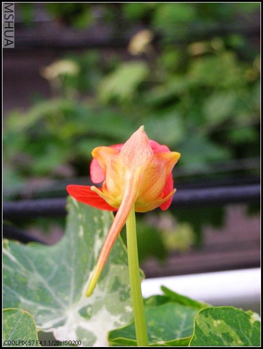 ð��©��������1