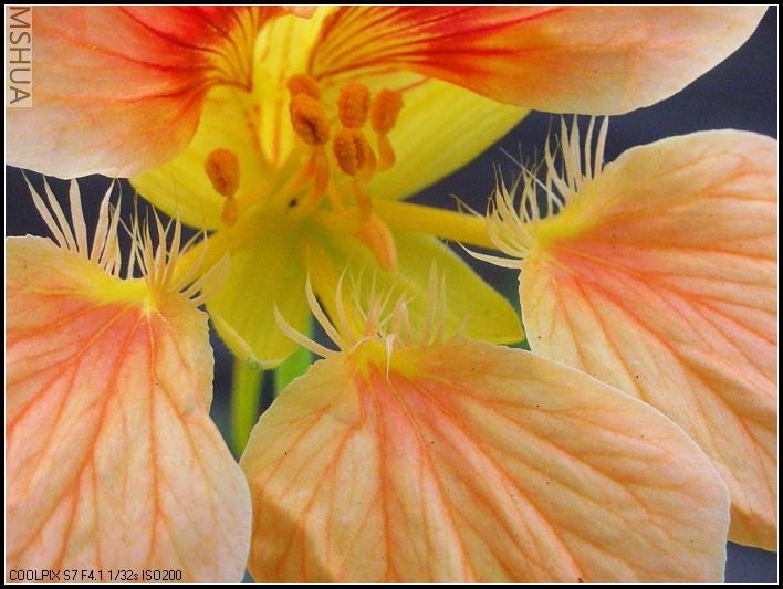 �����ܱ���Ů������ëһ����������