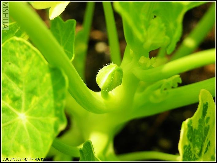 ��һ���ֽ���������СС�Ļ�������������ʺž��ǡ�ɶʱ�Ὺ������