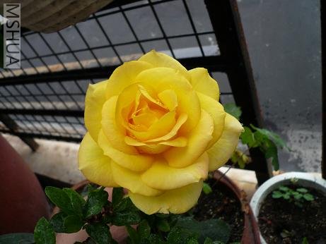 �����ˡ����㡣