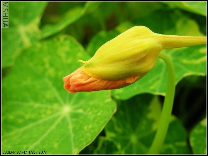 ������ɫ�ƺ��б仯