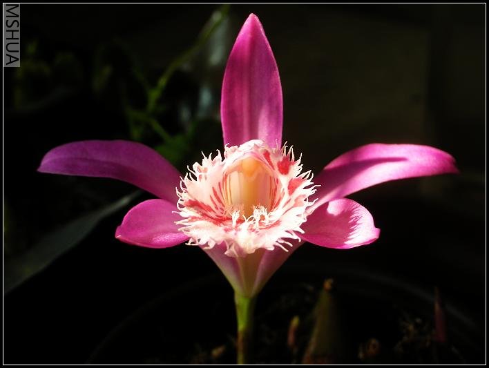 2007.4.11.�� 020_nEO_IMG.jpg