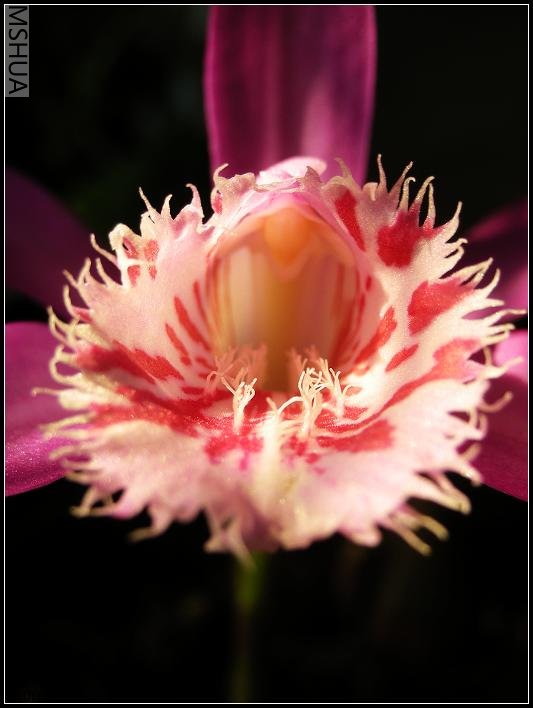 2007.4.11.�� 018_nEO_IMG.jpg