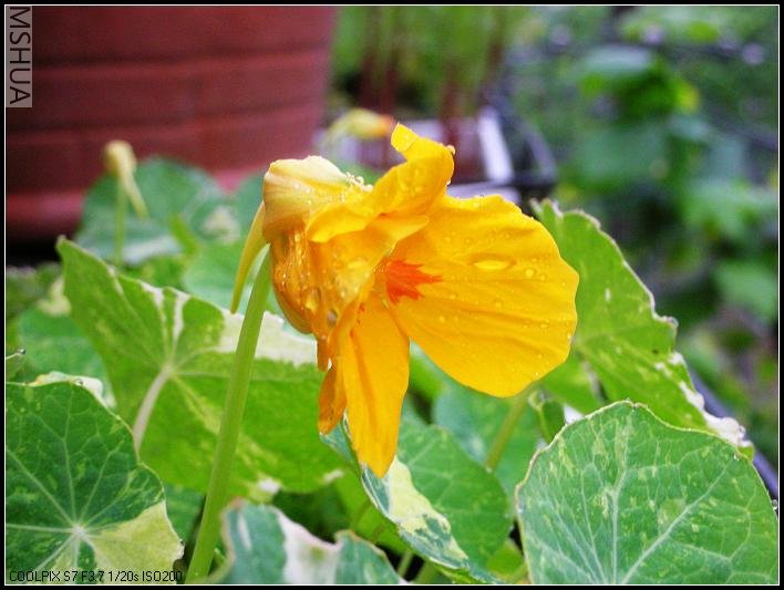 �������Ľ���