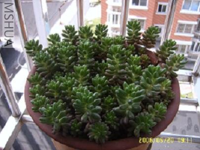 ����ȥ���������