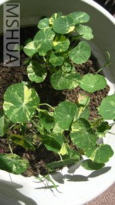 �������õ���ô