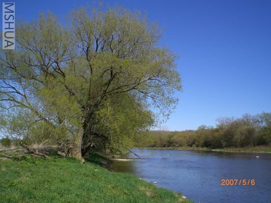 Resize of CIMG0692.JPG