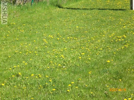 Resize of CIMG0675.JPG