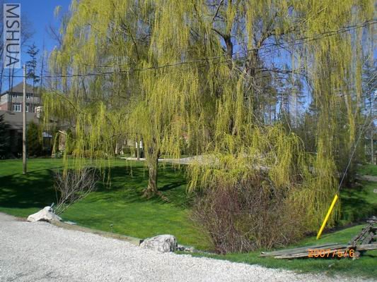 Resize of CIMG0671.JPG