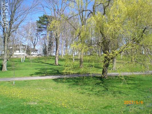 Resize of CIMG0677.JPG