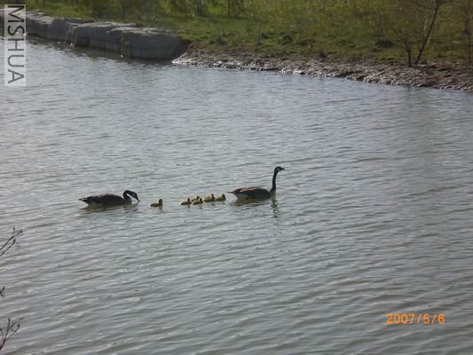 Resize of CIMG0698.JPG