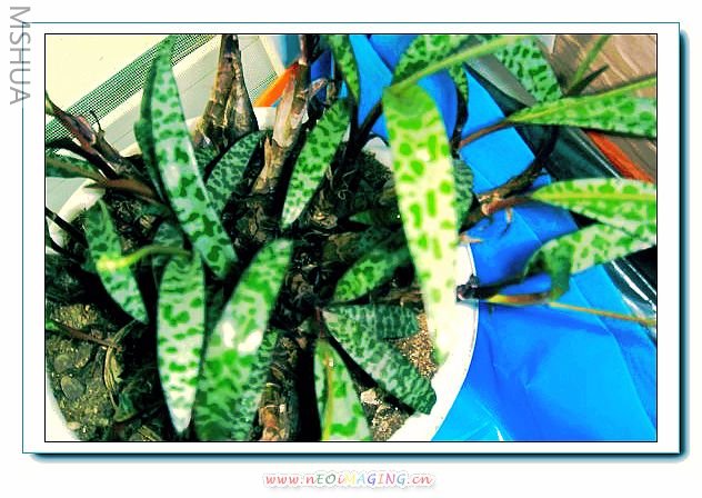 ����������,�Ҿ������ξ�Ȼ�����һ�ű����õ�һ����