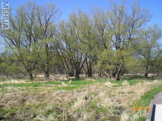 Resize of CIMG0685.JPG