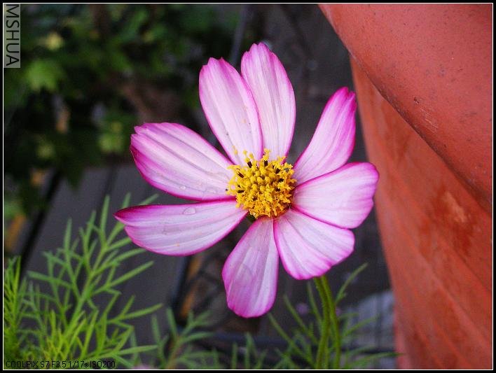 2007.5.7 034_nEO_IMG.jpg