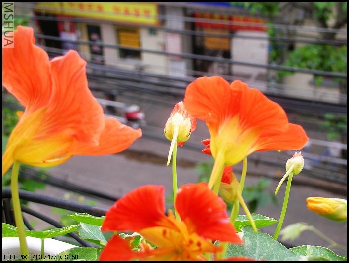 2007.5.7 009_nEO_IMG.jpg