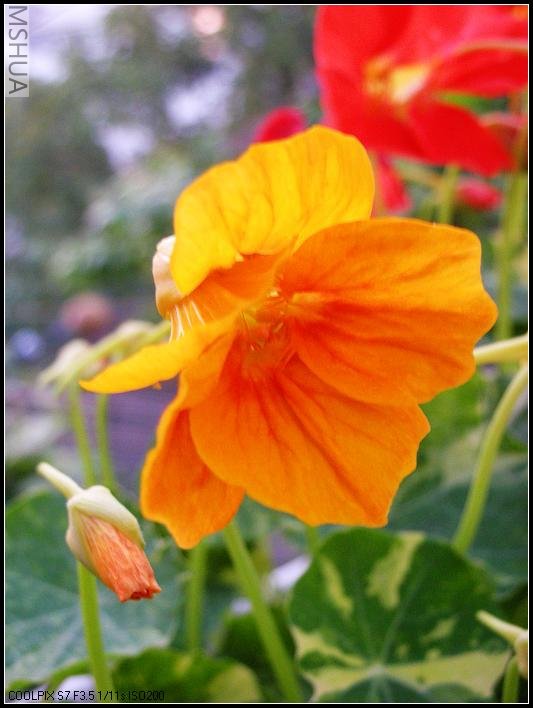 2007.5.7 029_nEO_IMG.jpg