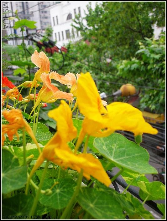 2007.5.7 010_nEO_IMG.jpg