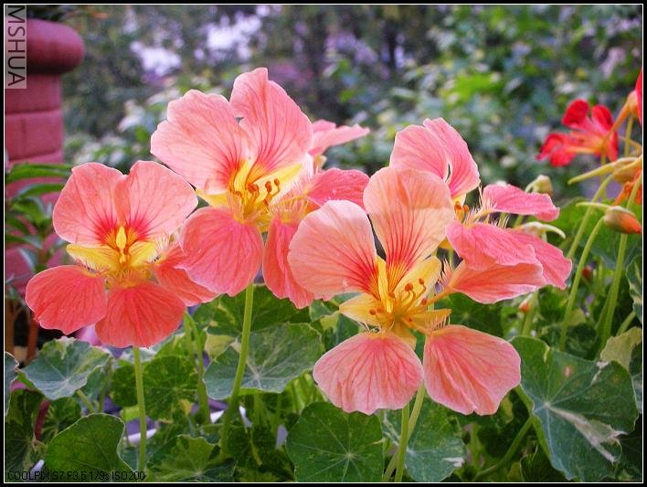 2007.5.7 024_nEO_IMG.jpg