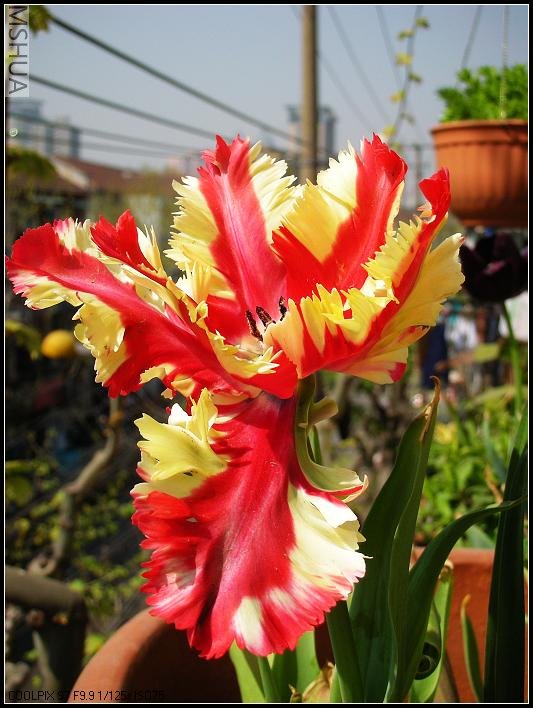 2007.4.11.�� 027_nEO_IMG.jpg