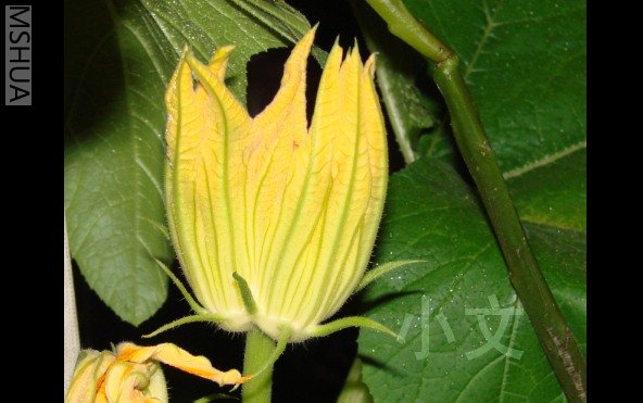 �½� BMP ͼ��.JPG