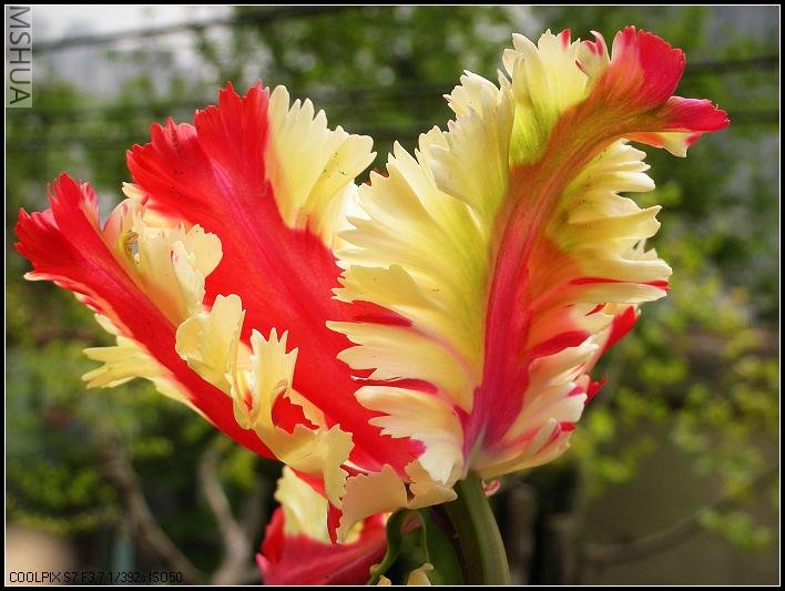 2007.4.11.�� 046_nEO_IMG.jpg