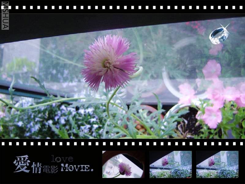 ��ʸ����orʸ����