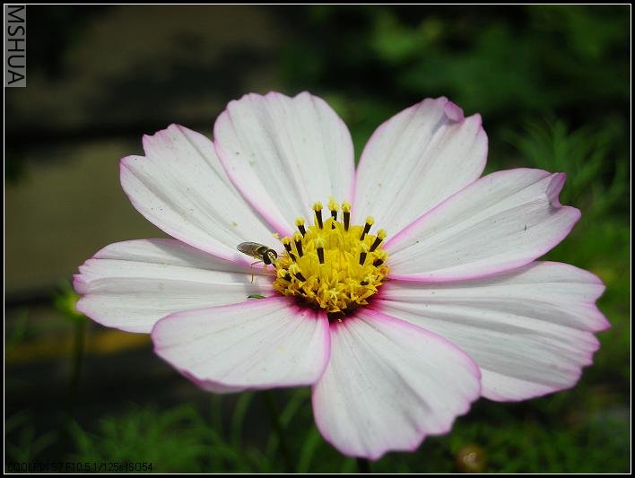 2007.5.7 021_nEO_IMG.jpg