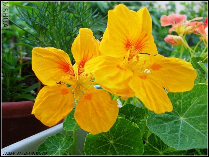 2007.5.7 026_nEO_IMG.jpg