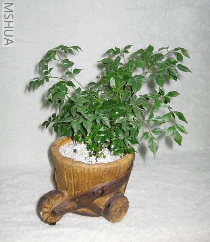 ��Ƭ070503 013_nEO_IMG.jpg