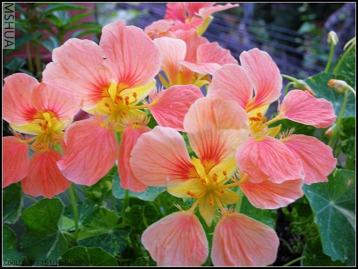 2007.5.7 030_nEO_IMG.jpg