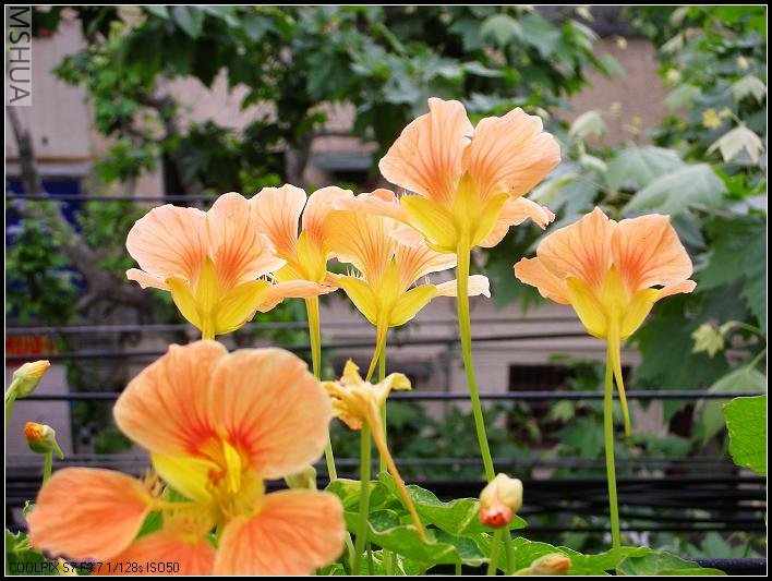 2007.5.7 008_nEO_IMG.jpg