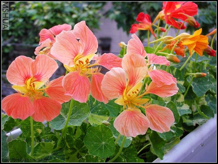 2007.5.7 025_nEO_IMG.jpg